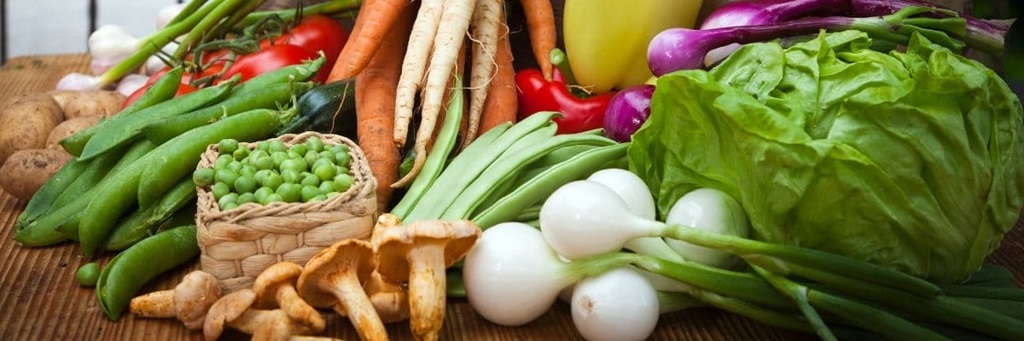 Formation en Cultures Maraîchères : Autonomisation de 80 Jeunes pour un Développement Durable dans la Commune de Djebonoua